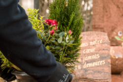 Nettoyage sépulture